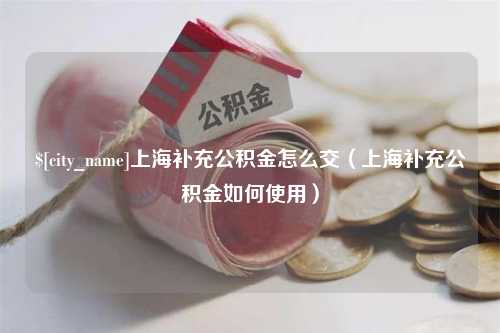 眉山上海补充公积金怎么交（上海补充公积金如何使用）